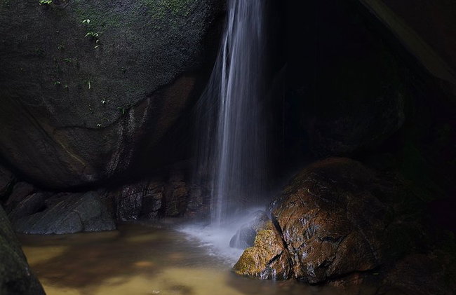 Visita guiada al bosque de Tijuca para grupos pequeños - Foto 39