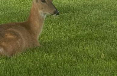 Top Property, Fishermen, Pool Passes, One Minute To The Hot Springs, Location Perfect & Amenity Rich, Pup Friendly, Discover An Exceptional Wyoming Stay, Thermopolis River Walk Home at Hot Springs State Park, 'Where Families and Fisherman Stay' - Foto 39