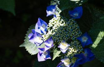 1912 Relais - Sorrento Coast - Foto 58