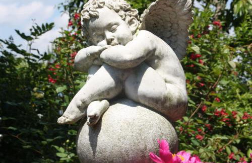 Ferienwohnungen Pano - Foto 6