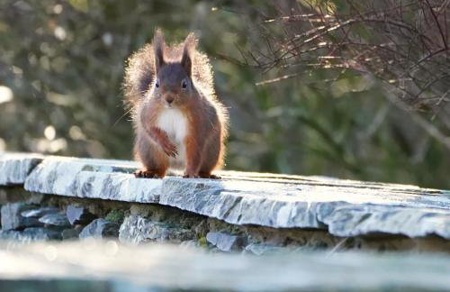 All 3 Cottages - Exclusive Use - Foto 20