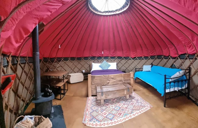 Charming Yurt in Kelburn Estate Near Largs - Photo 3