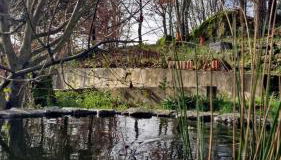 Rustic Retreat-Country House - Photo 5