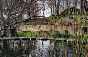 Rustic Retreat-Country House - Foto 5