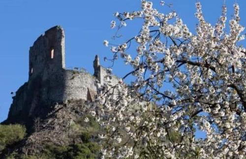 Il Giardino Fiorito - Photo 14