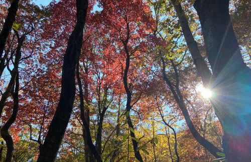 A Slice of High Country Heaven, Seven Devils Condo - Foto 47