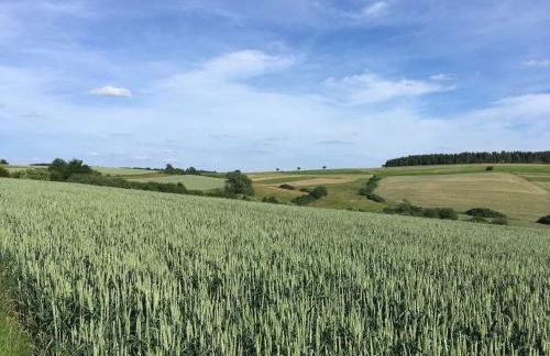 Eifelcottage Wren - Foto 19