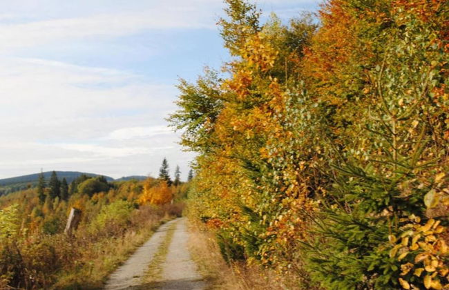 Wohnung in Brilon mit Kleinem Garten - Foto 34