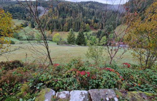 Bergforelle - Bilderbuchausblicke, Sauna und Genussmomente in einer ehemaligen Kapelle - Foto 5