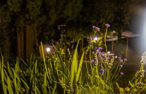 CASENUOVE III - Casale con giardino e piscina - Foto 20