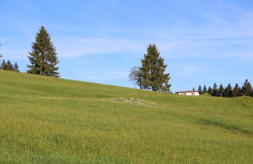 Apartman Mitterdorf Almberg 7 - Foto 18