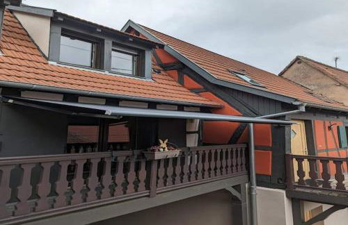 Apartment in Alsace near Haut-Koenigsbourg - Foto 34