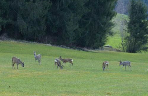 Hiemer 2 Comfortable holiday residence - Foto 21