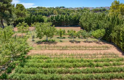 BioMasseria Santa Lucia - Foto 19