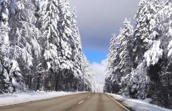 Ferienwohnung "Hirschlein" im Schwarzwald - Foto 54