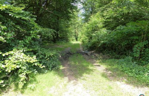 Grande maison proche des Vosges, idéale cyclisme et randonnée, animaux admis, vélos à dispo - FR-1-583-298 - Foto 34