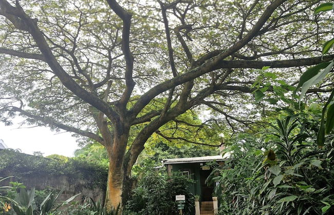 St Lucia Wilds - Foto 66