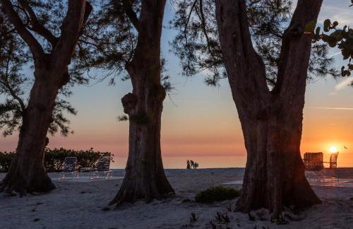 Bamboo Apartments - Foto 24