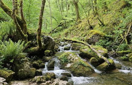 Cobijo de Villar - Foto 18