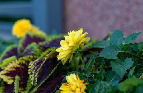 House4Seasons - Foto 58