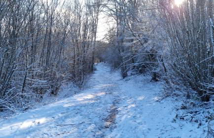 Auszeit in der Vulkaneifel - Foto 19