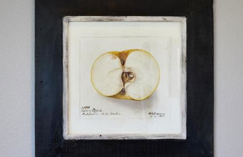 Ferienwohnung mit Seesicht Grimmershörnbucht - Foto 14