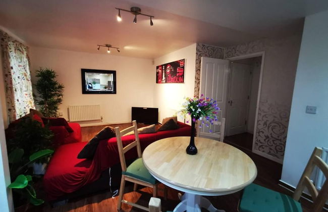 Modern and Cosy Apartment in North London, UK - Foto 14