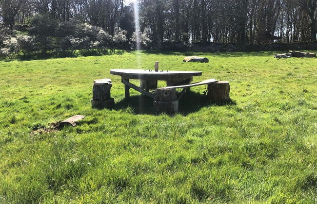 Bell Tent , Carreglwyd Estate, Anglesey - Photo 25