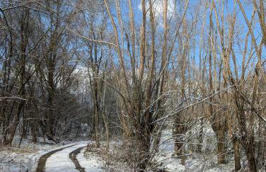 Płachtówka - Foto 11