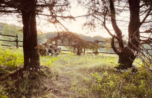 Il Nido di Livata - Foto 8