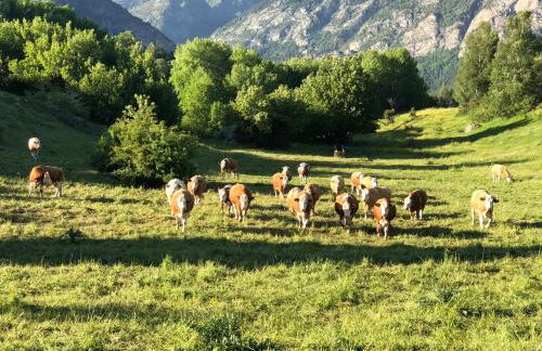 Apartamentos Casa Lavedan - Foto 13