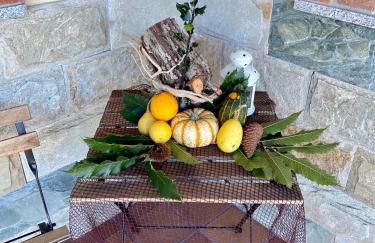 Las Carriles Apartamentos rurales - Foto 32