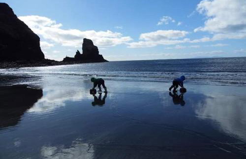 Ornum Self Catering Cottage - Foto 14