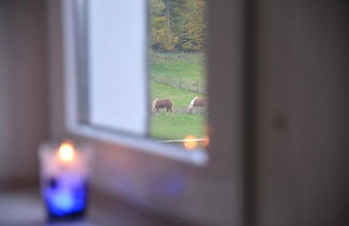 Ferienwohnung Schadler - Foto 8