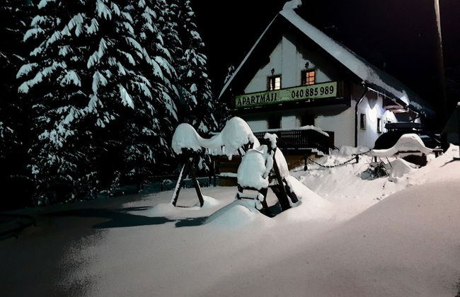 Apartmaji Koželj - Foto 1