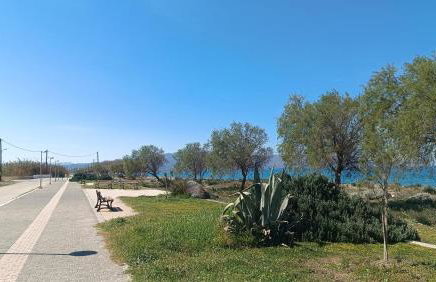 Relax Holiday Villa - Foto 11