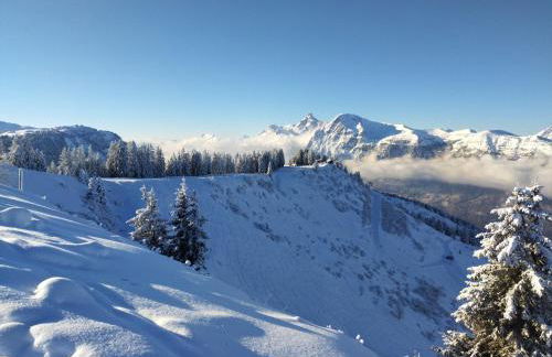Chalet La Ferme d'Henriette, à Samoëns - Foto 79