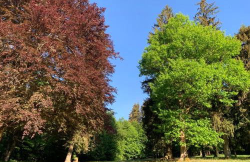 Landsitz Kammerburg - Foto 34