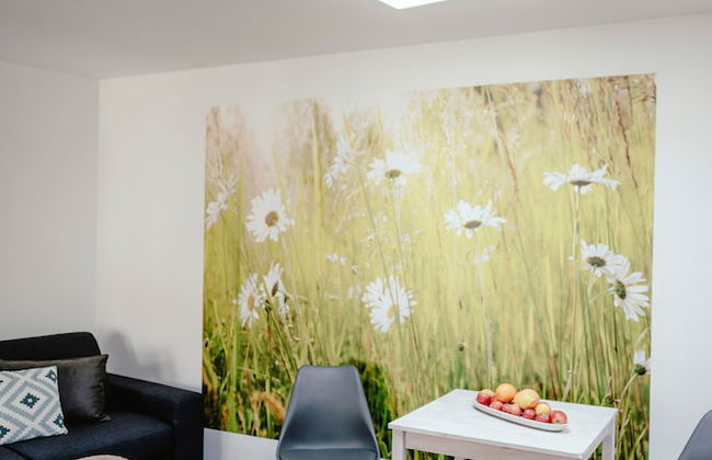 Apartments Zelny Trh III - Foto 23