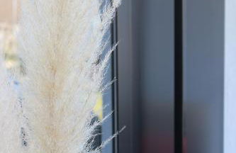 Ferienwohnung - Am Löwenpfad - Bad Ditzenbach-Gosbach - Foto 6