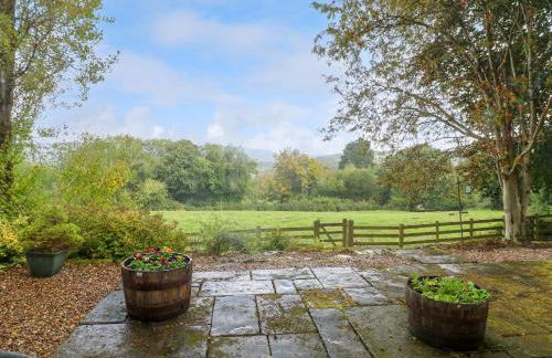 Chapelfield - Foto 40