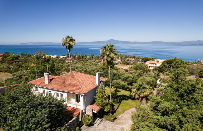 Old Sport Mansion - Photo 28