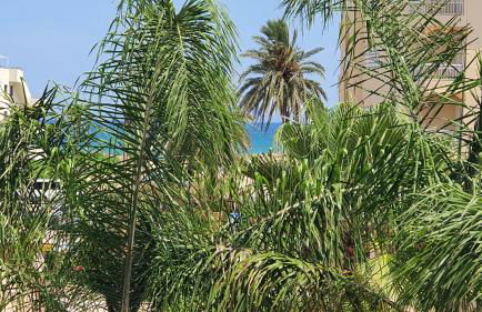 Poligono - Playa San Fernando - Foto 70