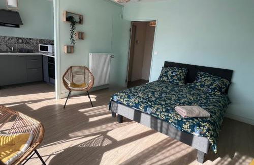 FABULEUX STUDIO à coté du CHATEAU - Foto 5