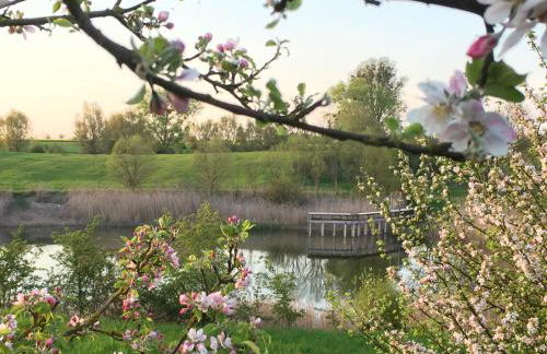 Ferienhaus Biene - Photo 68