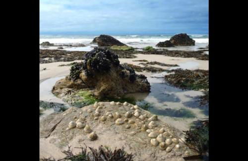 The Haven - Photo 51