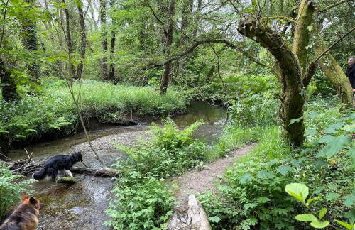 Rural, Secure Garden, Woodland Walks, 23 min to beach - Foto 30