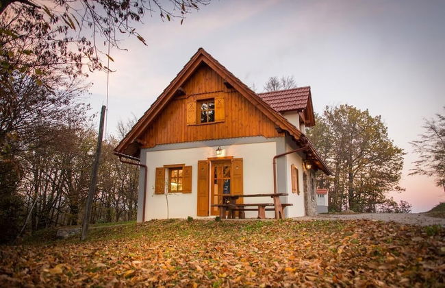 Vineyard Cottage Vina in Medu - Foto 21