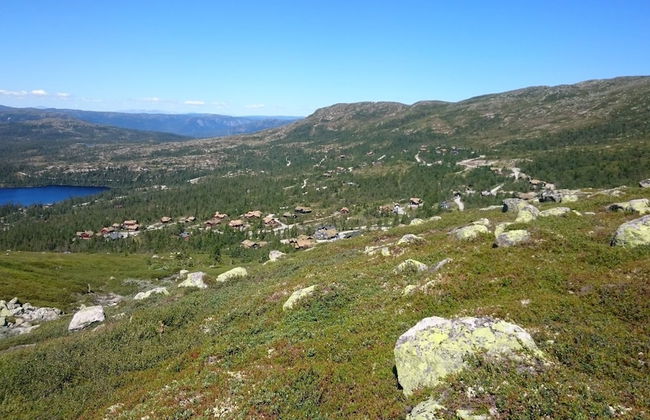 Furulie Cabin - Flå - Foto 15