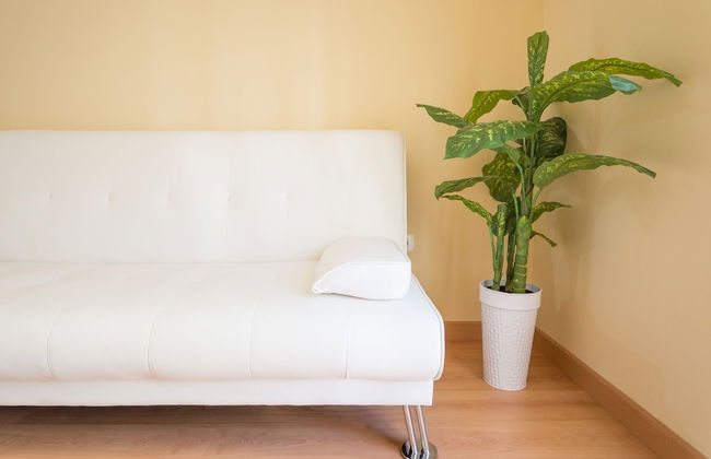 Suite Picasso - Photo 14